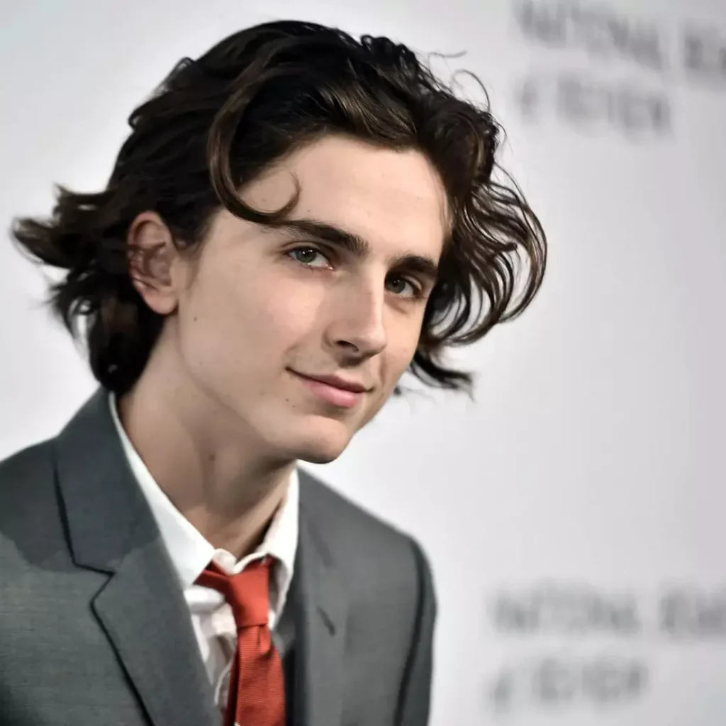 Timothée Chalamet Biography